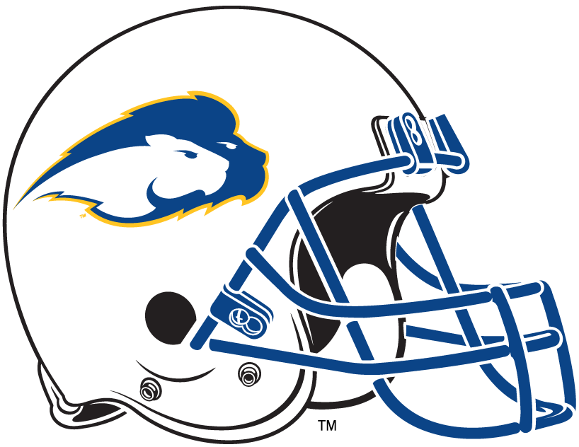 Hofstra Pride 2005-2008 Helmet Logo DIY iron on transfer (heat transfer)